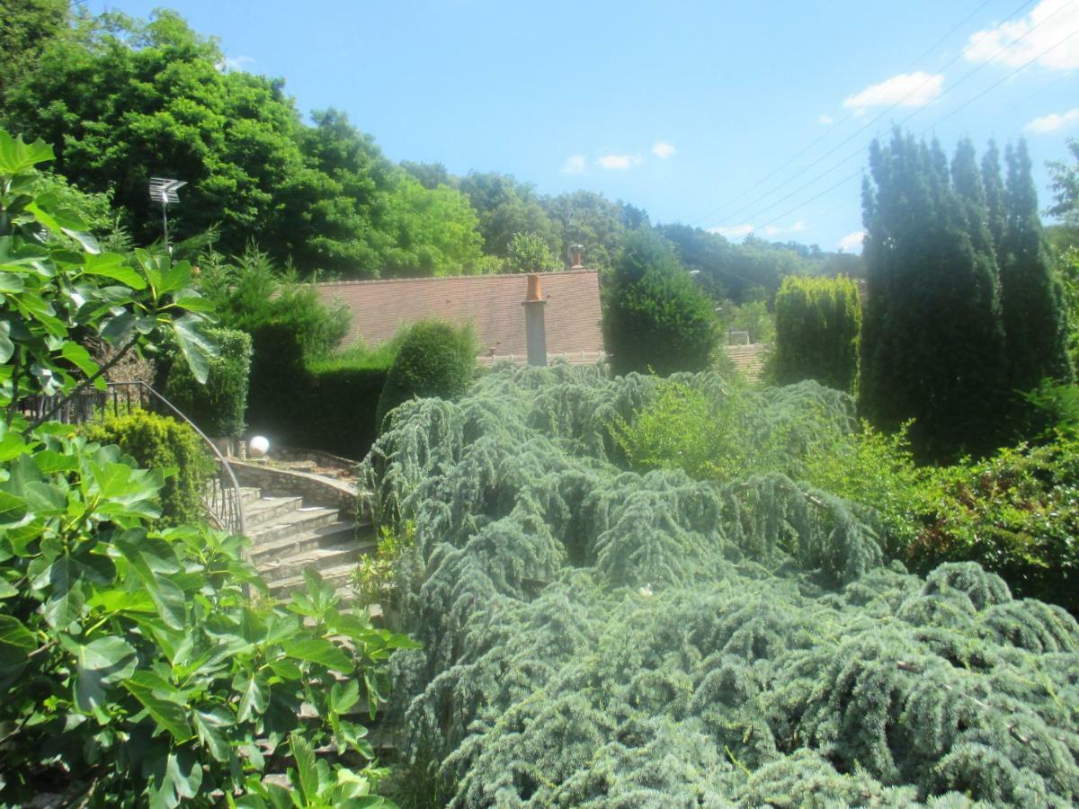 Couleurs Loire Bed & Breakfast Molineuf Dış mekan fotoğraf